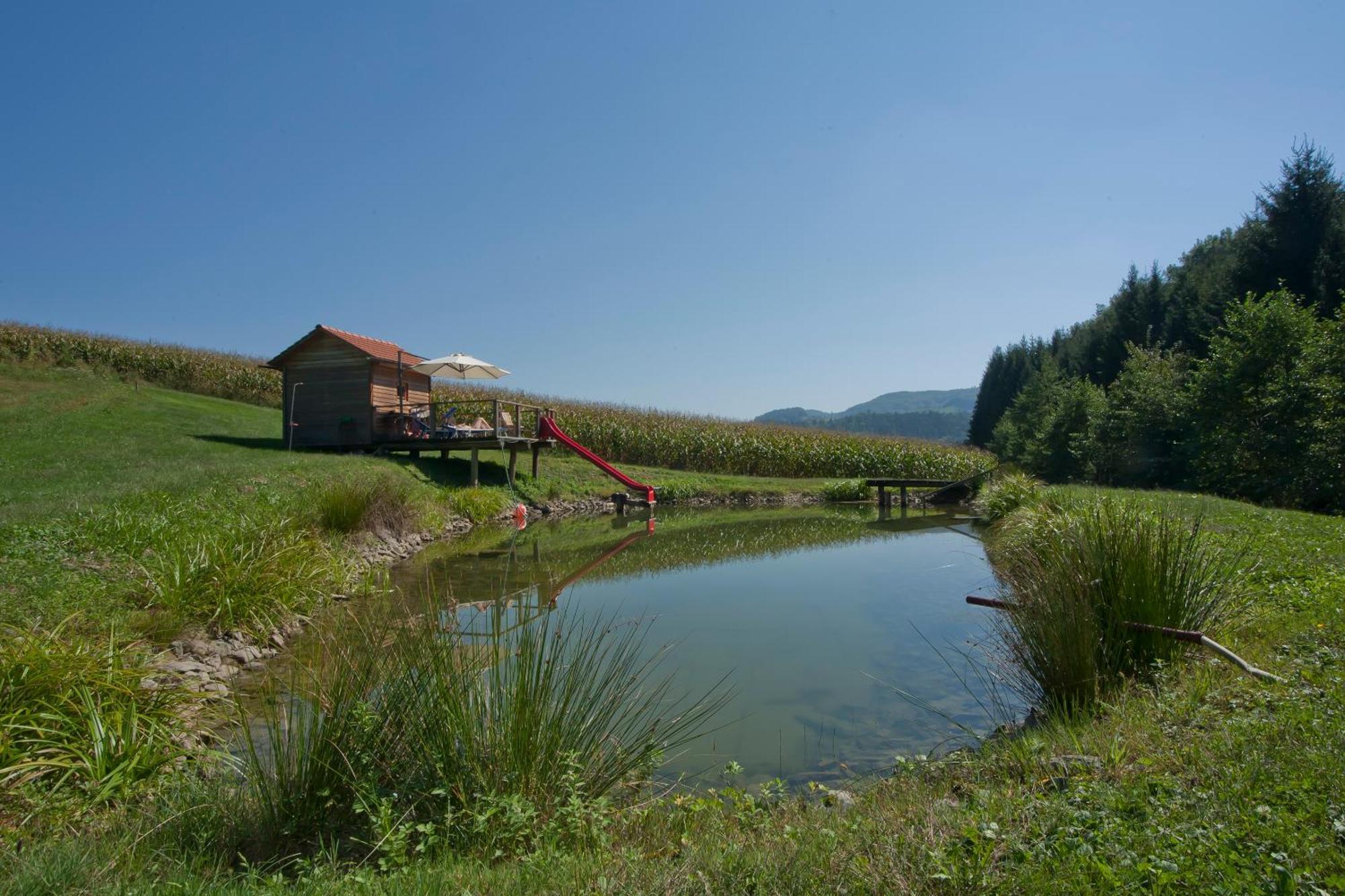 Séjour à la ferme Weingut Winzerhof Gaestezimmer Grebenz *